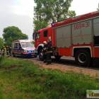 Fotka nr 2 z 4