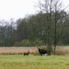 Fotka nr 1 z 4