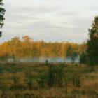 Fotka nr 5 z 7