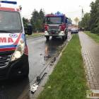 Fotka nr 2 z 7
