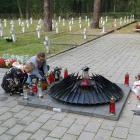 zdjęcie nr 11