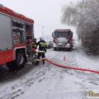 Fotka nr 1 z 6