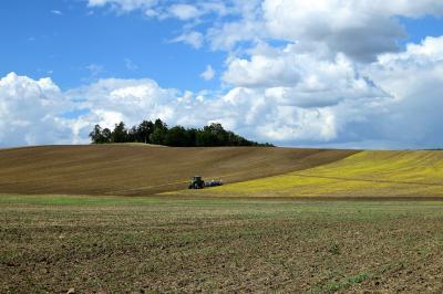Nieruchomości Kampinos, ogłoszenia nieruchomości puszcza kampinoska | iKampinos.pl