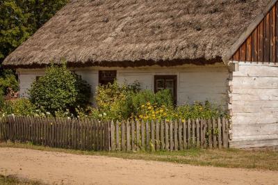 turystyka kampinos, ogłoszenia puszcza kampinoska oferta turystyczna | iKampinos.pl