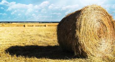 Mieszkańcy Gminy Kampinos nominowani do Plebiscytu MISTRZOWIE AGRO