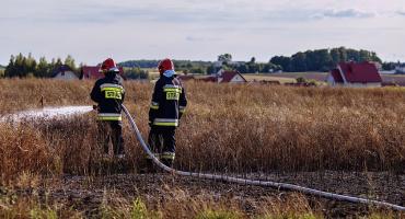 Wypalanie traw grozi utratą dopłat