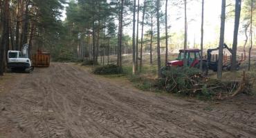 Kampinoski Park Narodowy - po co wycinka przy czerwonym szlaku?